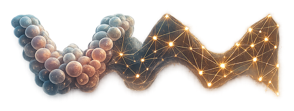 waxMorph: interacting cells resolving into a learned graph network