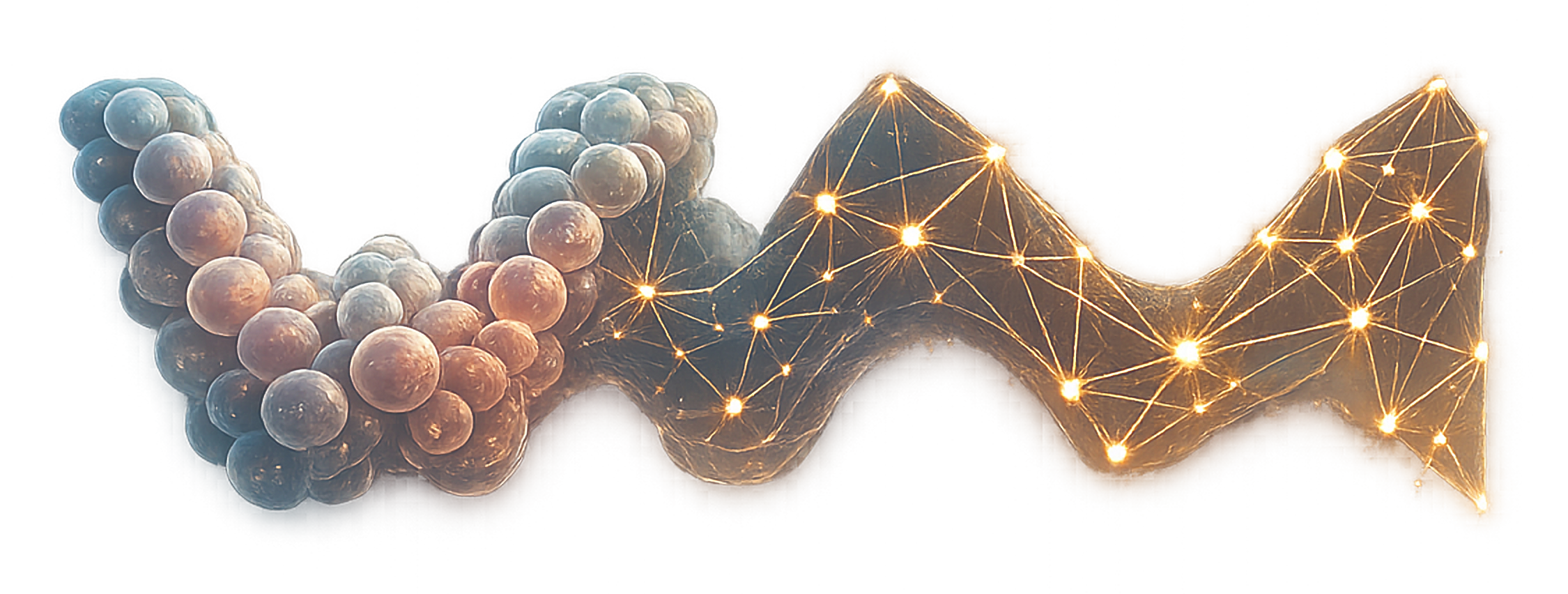 waxMorph: interacting cells resolving into a learned graph network