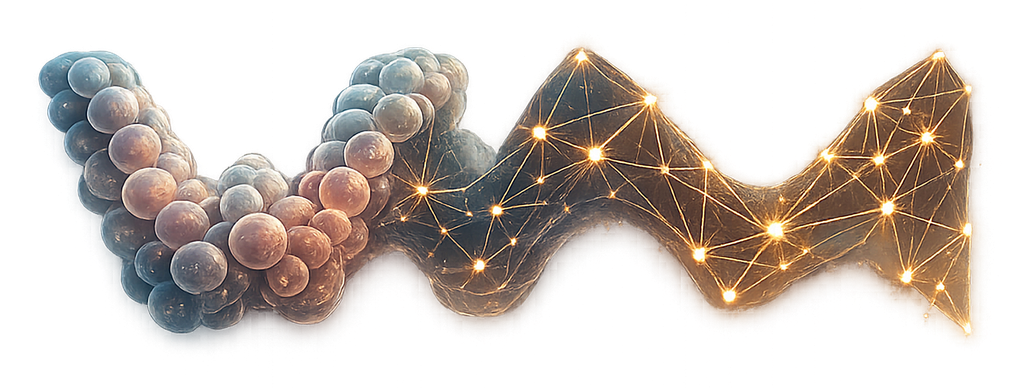 waxMorph — interacting cells resolving into a learned graph network