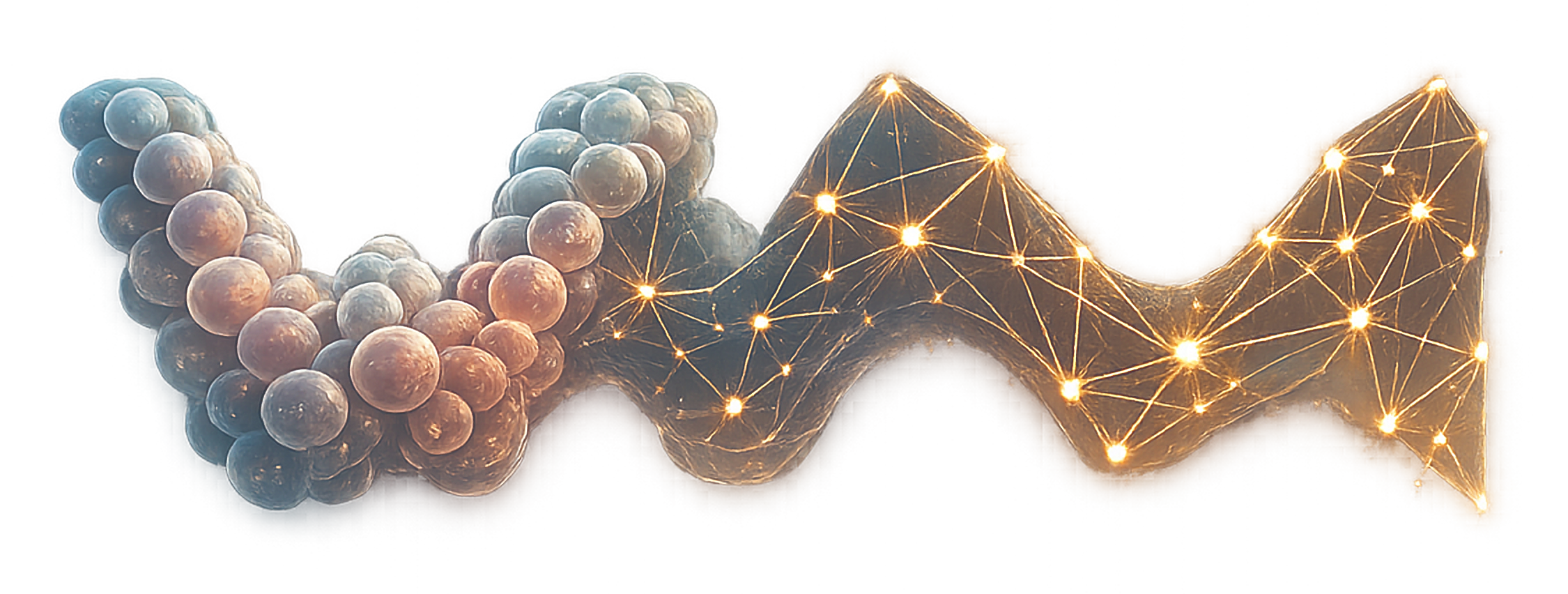 waxMorph — interacting cells resolving into a learned graph network